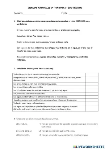 Control unidad 2 - los 4 reinos