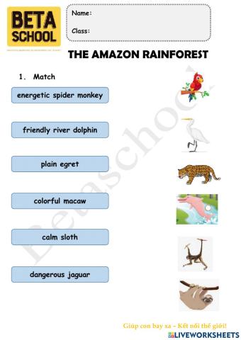 Topic The Amazon Rainforest - BE3A