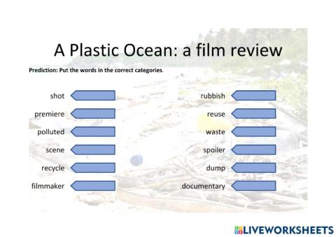 A Plastic Ocean: Vocab