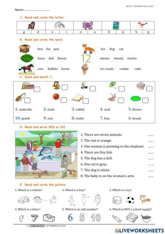 Begin - Reading Final