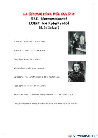 Estructura del sujeto (núcleo, determinante, complemento)