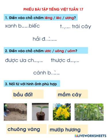 Tiếng Việt