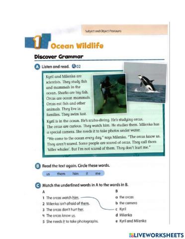 Ocean wildlife