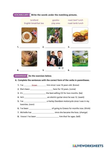 Present Perfect Simple Continuous