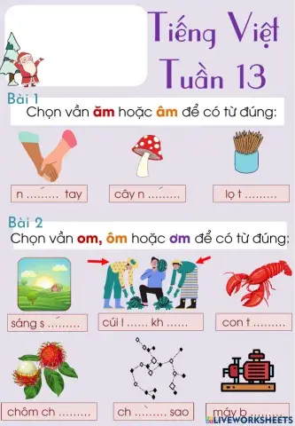 Tiếng việt: ôn tập tuần 13