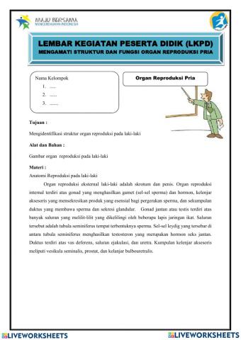 Sistem reproduksi manusia