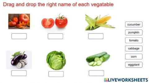 Vegetable