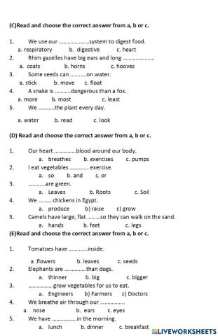 Worksheet 2 - Grade 4 - Connect