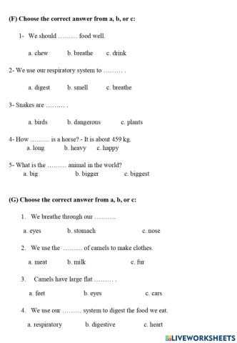 Worksheet 3 - Grade 4 - Connect 4