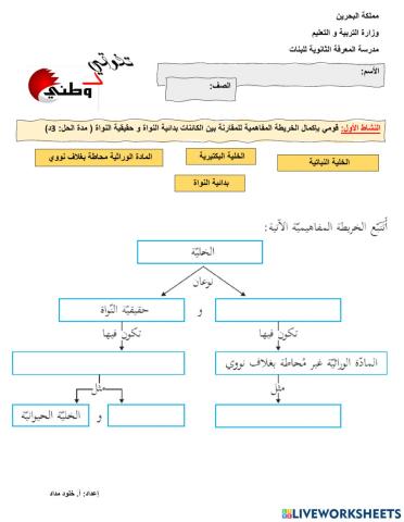 خلية بدائية و حقيقة
