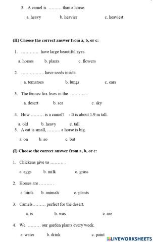 Worksheet 4 - Grade 4 - Connect 4