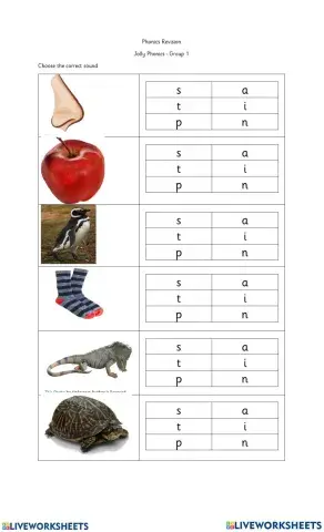 Listen and choose the initial letter sound