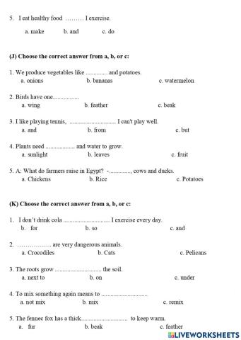 Worksheet 5 - Grade 4 - Connect