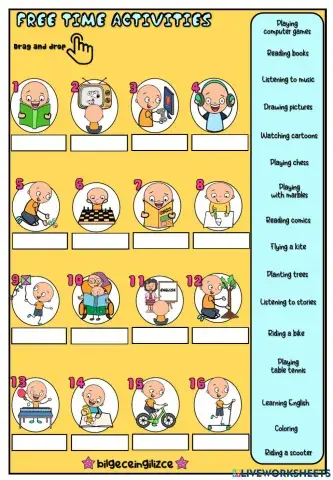 Free Time Activities