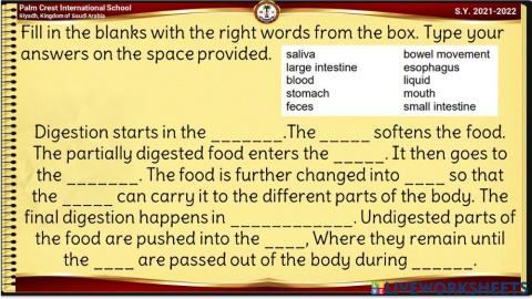 The Digestion Pocess