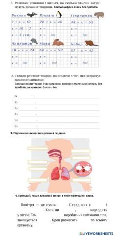 Вправи для діагностичної роботи з теми -Дихання-
