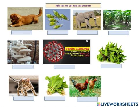 Điền vào chỗ trống