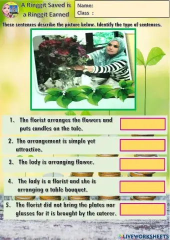 Year 6 Unit 14 Simple and Compound Sentence