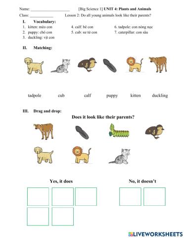 Big Science 1 Plants and Animals