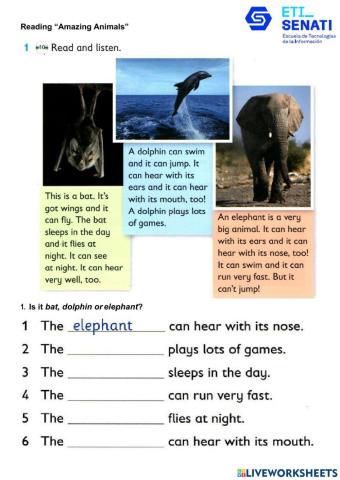 Language input: Can and can't