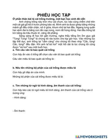 Phiếu học tập