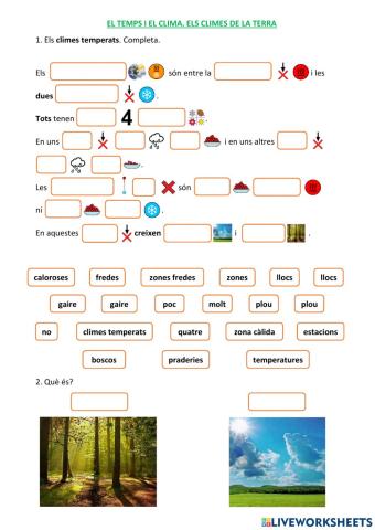El temps i el clima. Els climes de la Terra 12