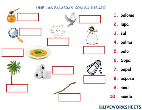 Une las palabras con su dibujo