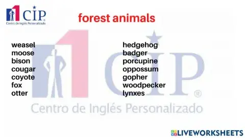 Kids forest animals W38