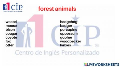 Kids forest animals W38