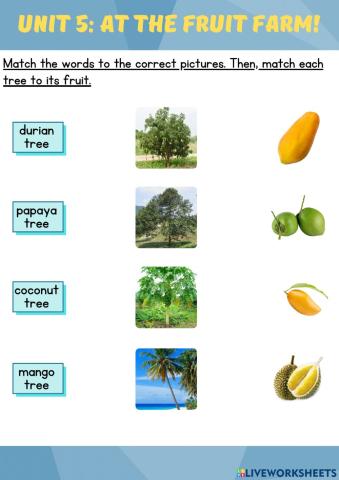 Fruit and Trees