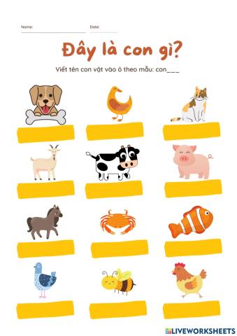 Vietnamese for Makar