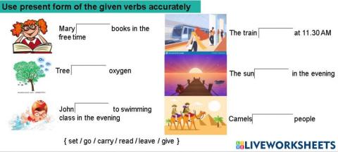Write the correct form of the verbs