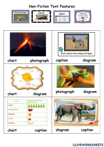 Non-fiction Text Features