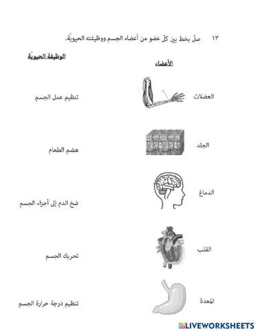 نشاط timss علوم