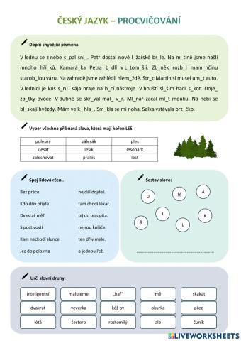 Český jazyk - Procvičování - 6. třída