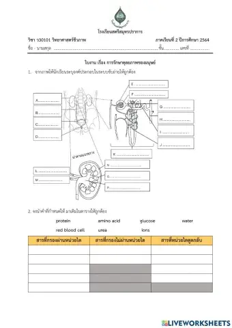 การรักษาดุลยภาพ
