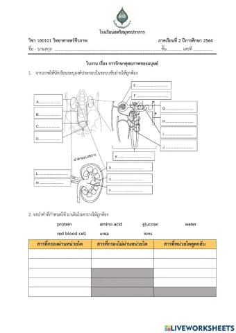 การรักษาดุลยภาพ