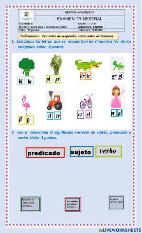 Conocimientos generales de español