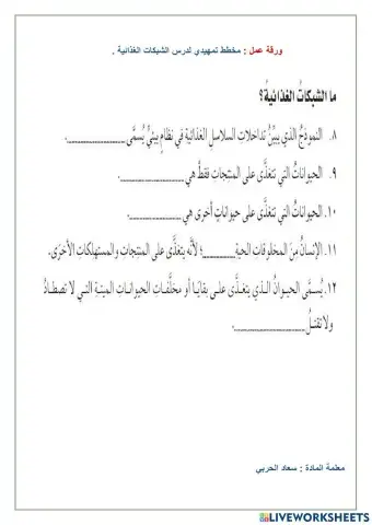 الشبكة الغذائية