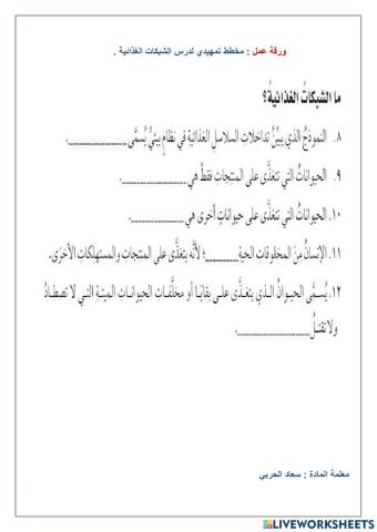 الشبكة الغذائية