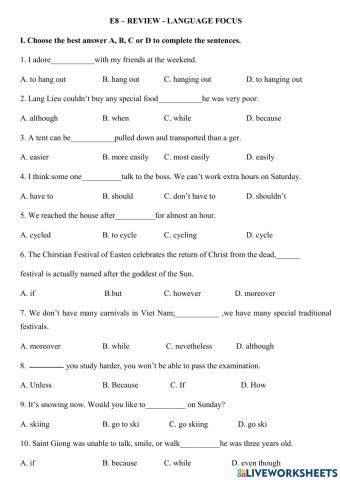 E8-review-language focus