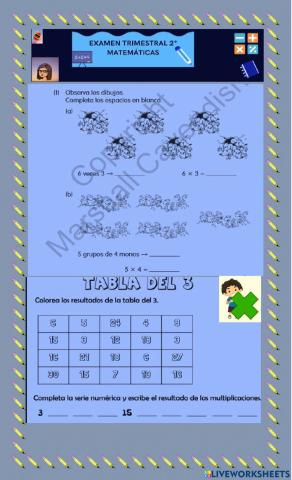 Trimestral de matemáticas