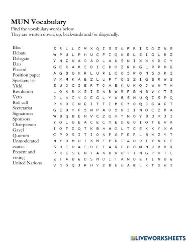 MUN Vocabulary
