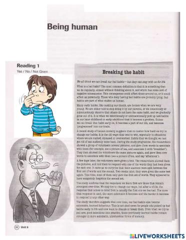 Bridge - Reading 11-12