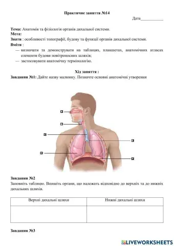 Дихальна система