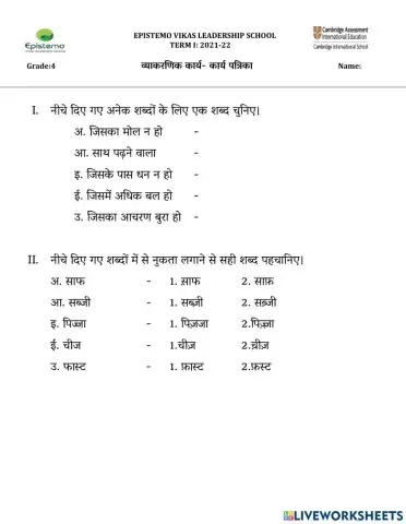 कक्षा -4 पाठ-6 सेहत है अनमोल-व्याकरणिक कार्य- कार्य पत्रिका
