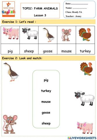 Farm animals- lesson 3