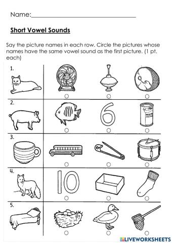 Short Vowel Sounds
