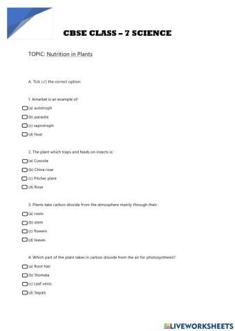 Nutrition in Plants Worksheet