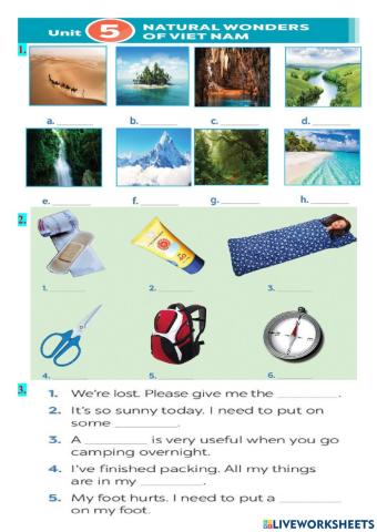 Grade 6-unit 5-vocabulary